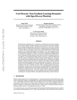 Curl Descent: Non-Gradient Learning Dynamics with Sign-Diverse Plasticity