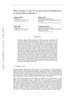 The Curious Case of In-Training Compression of State Space Models