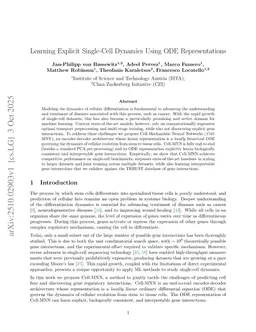 Learning Explicit Single-Cell Dynamics Using ODE Representations