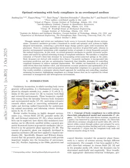 Optimal swimming with body compliance in an overdamped medium