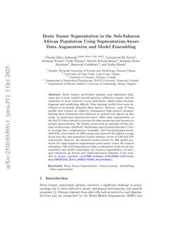 How We Won BraTS-SSA 2025: Brain Tumor Segmentation in the Sub-Saharan African Population Using Segmentation-Aware Data Augmentation and Model Ensembling