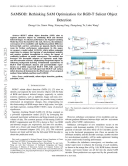 SAMSOD: Rethinking SAM Optimization for RGB-T Salient Object Detection