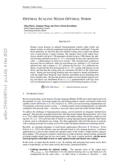 Optimal Scaling Needs Optimal Norm