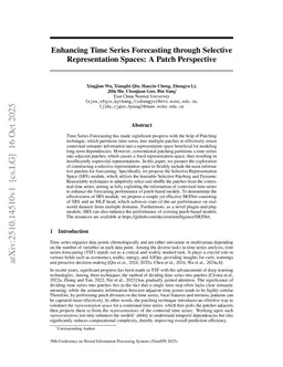 Enhancing Time Series Forecasting through Selective Representation Spaces: A Patch Perspective