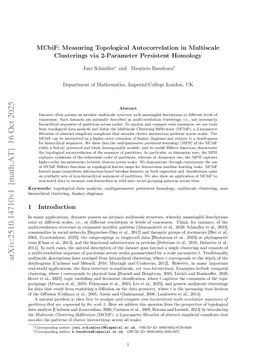 MCbiF: Measuring Topological Autocorrelation in Multiscale Clusterings via 2-Parameter Persistent Homology