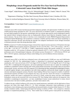 Morphology-Aware Prognostic model for Five-Year Survival Prediction in Colorectal Cancer from H&E Whole Slide Images