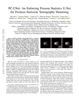 PC-UNet: An Enforcing Poisson Statistics U-Net for Positron Emission Tomography Denoising