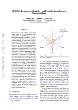 VERITAS: Leveraging Vision Priors and Expert Fusion to Improve Multimodal Data