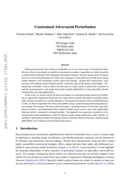 Constrained Adversarial Perturbation