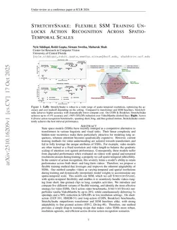 StretchySnake: Flexible SSM Training Unlocks Action Recognition Across Spatio-Temporal Scales