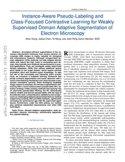 Instance-Aware Pseudo-Labeling and Class-Focused Contrastive Learning for Weakly Supervised Domain Adaptive Segmentation of Electron Microscopy