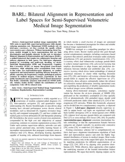 BARL: Bilateral Alignment in Representation and Label Spaces for Semi-Supervised Volumetric Medical Image Segmentation