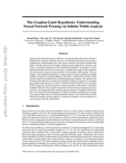 The Graphon Limit Hypothesis: Understanding Neural Network Pruning via Infinite Width Analysis