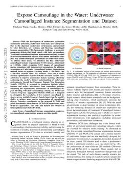 Expose Camouflage in the Water: Underwater Camouflaged Instance Segmentation and Dataset