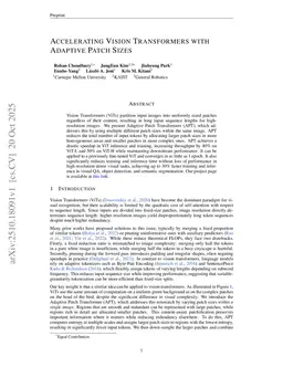 Accelerating Vision Transformers with Adaptive Patch Sizes