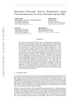 Decoding Dynamic Visual Experience from Calcium Imaging via Cell-Pattern-Aware SSL