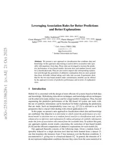 Leveraging Association Rules for Better Predictions and Better Explanations