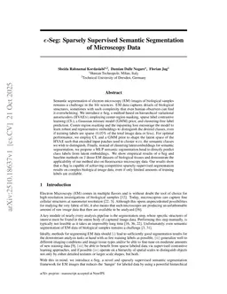 ε-Seg: Sparsely Supervised Semantic Segmentation of Microscopy Data