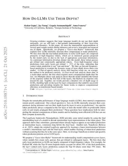 How Do LLMs Use Their Depth?