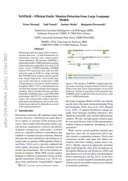 ToMMeR -- Efficient Entity Mention Detection from Large Language Models
