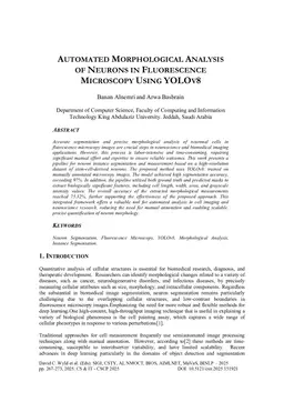 Automated Morphological Analysis of Neurons in Fluorescence Microscopy Using YOLOv8
