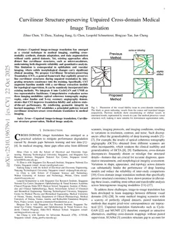 Curvilinear Structure-preserving Unpaired Cross-domain Medical Image Translation