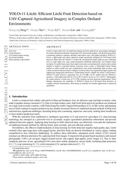 YOLOv11-Litchi: Efficient Litchi Fruit Detection based on UAV-Captured Agricultural Imagery in Complex Orchard Environments
