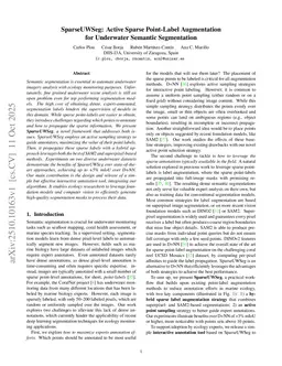 SSeg: Active Sparse Point-Label Augmentation for Semantic Segmentation