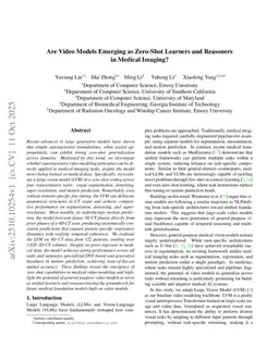 Are Video Models Emerging as Zero-Shot Learners and Reasoners in Medical Imaging?