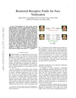 Restricted Receptive Fields for Face Verification