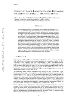 Enhancing Large Language Model Reasoning via Selective Critical Token Fine-Tuning