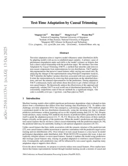 Test-Time Adaptation by Causal Trimming