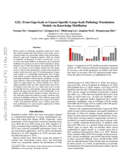G2L:From Giga-Scale to Cancer-Specific Large-Scale Pathology Foundation Models via Knowledge Distillation