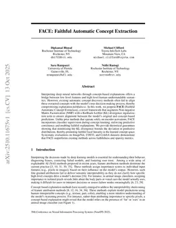 FACE: Faithful Automatic Concept Extraction