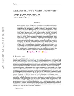 Are Large Reasoning Models Interruptible?