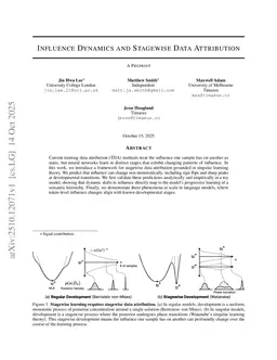 Influence Dynamics and Stagewise Data Attribution