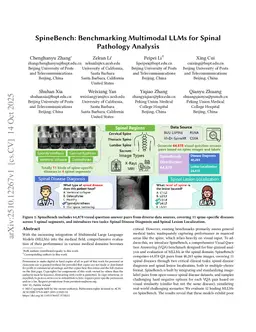 SpineBench: Benchmarking Multimodal LLMs for Spinal Pathology Analysis