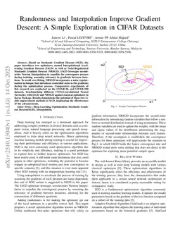 Randomness and Interpolation Improve Gradient Descent