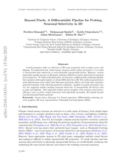 Beyond Pixels: A Differentiable Pipeline for Probing Neuronal Selectivity in 3D