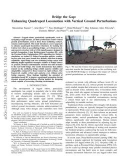 Bridge the Gap: Enhancing Quadruped Locomotion with Vertical Ground Perturbations