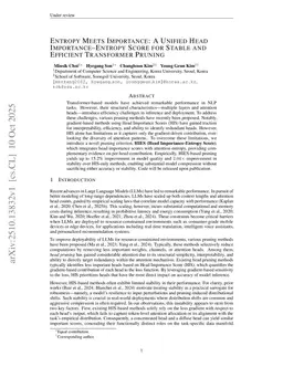 Entropy Meets Importance: A Unified Head Importance-Entropy Score for Stable and Efficient Transformer Pruning
