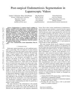 Post-surgical Endometriosis Segmentation in Laparoscopic Videos