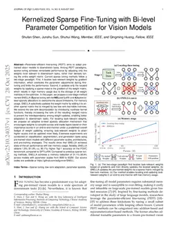 Kernelized Sparse Fine-Tuning with Bi-level Parameter Competition for Vision Models