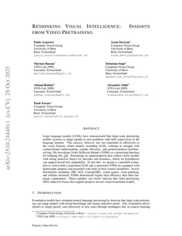 Rethinking Visual Intelligence: Insights from Video Pretraining