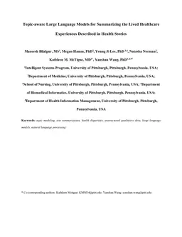 Topic-aware Large Language Models for Summarizing the Lived Healthcare Experiences Described in Health Stories