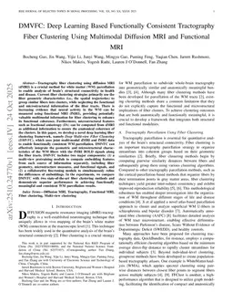 DMVFC: Deep Learning Based Functionally Consistent Tractography Fiber Clustering Using Multimodal Diffusion MRI and Functional MRI