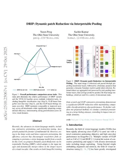 DRIP: Dynamic patch Reduction via Interpretable Pooling