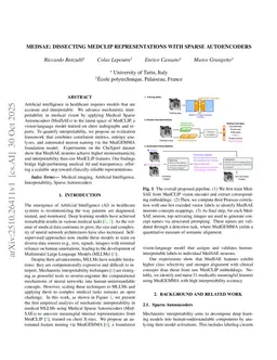 MedSAE: Dissecting MedCLIP Representations with Sparse Autoencoders