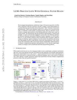 LLMs Process Lists With General Filter Heads