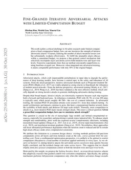 Fine-Grained Iterative Adversarial Attacks with Limited Computation Budget